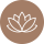 lotus (1)